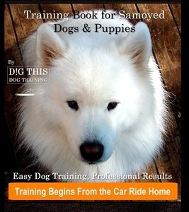 Samoyed Training Book for Samoyed Dogs & Puppies By D!G THIS DOG Training, Easy Dog Training, Professional Results, Training Begins from the Car Ride