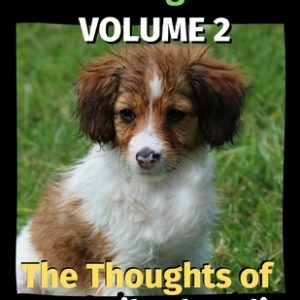 The Thoughts of My Kooikerhondje: A Coloring Book Volume 2