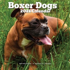 Boxer Dogs 2021 Wall Calendar: Lover Gifts