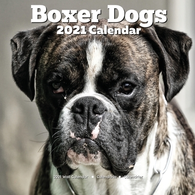 2021 Boxer Dog Wall Calendar: Lover Owner Gifts