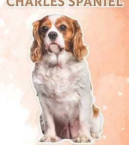 Cavalier King Charles Spaniel: Fun Facts on Dogs for Kids #2