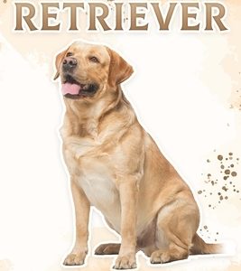 Labrador Retriever: Fun Facts on Dogs for Kids #8