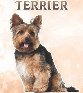 Yorkshire Terrier: Fun Facts on Dogs for Kids #9