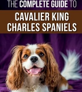 The Complete Guide to Cavalier King Charles Spaniels: Selecting, Training, Socializing, Caring For, and Loving Your New Cavalier Puppy