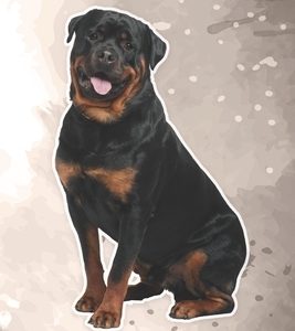 Rottweiler: Fun Facts on Dogs for Kids #14