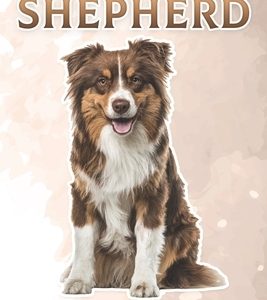 Australian Shepherd: Fun Facts on Dogs for Kids #17