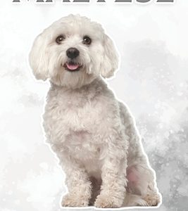 Maltese: Fun Facts on Dogs for Kids #31