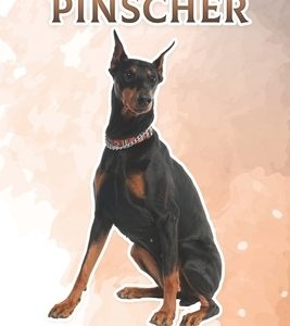 Doberman Pinscher: Fun Facts on Dogs for Kids #41