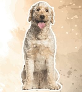 Goldendoodle: Fun Facts on Dogs for Kids #42