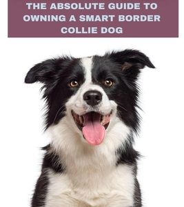 Border Collies: The Absolute Guide to Owning a Smart Border Collie Dog