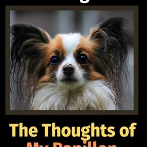 The Reflections of My Papillon: A Coloring Book