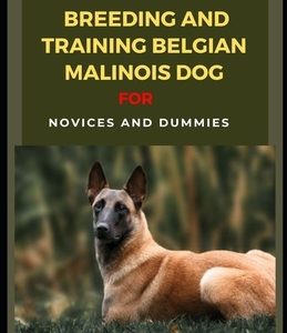 Ultimate Guide To Breeding And Training Belgian Malinois Dog For Novices And Dummies
