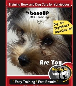 Yorkie poo Training Book and Dog Care for Yorkiepoos, By BoneUP DOG Training, Are You Ready to Bone Up? Easy Training * Fast Results, Yorkie poo
