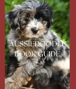Aussiedoodle Book Guide: The Complete Guide To Grooming, Training, Feeding, Caring And Socializing, Loving Your New Puppy