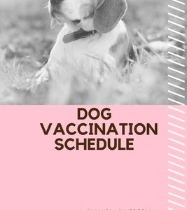 Dog Vaccination Schedule: Brilliant Dog Vaccination Schedule book, useful Vaccination Reminder, Vaccination Booklet, Vaccine Record Book For Dog