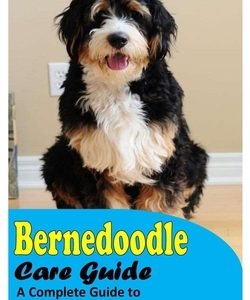 Bernedoodle Care Guide: A Complete Guide to Bernedoodle Pet