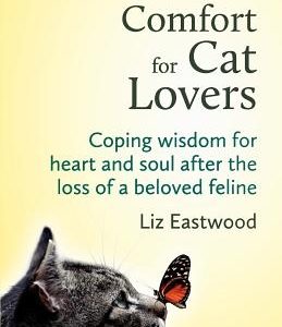 Soul Comfort for Cat Lovers: Coping Wisdom for Heart and Soul After the Loss of a Beloved Feline