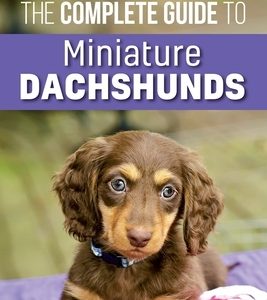 The Complete Guide to Miniature Dachshunds: A step-by-step guide to successfully raising your new Miniature Dachshund