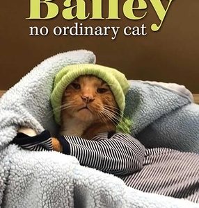 Bailey, No Ordinary Cat