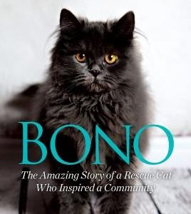 Bono: The Amazing Story of a Rescue Cat Who Inspired a Community
