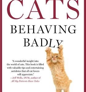 Cats Behaving Badly
