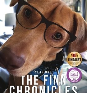 The Finn Chronicles: Year One: A dog's reports from the front lines of hooman rescue