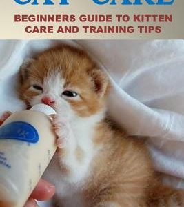 Cat Care: Beginners Guide To Kitten Care And Training Tips