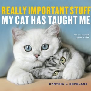 Really Important Stuff My Cat Has Taught Me