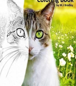 Cats & Kittens: Coloring Book