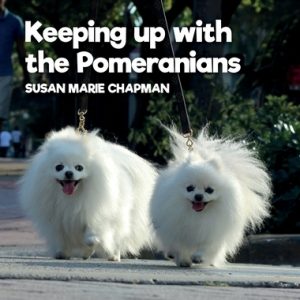 Keeping Up With The Pomeranians