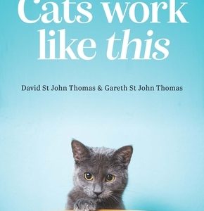 Cats Work Like This