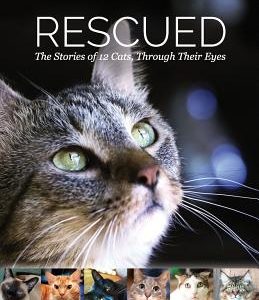 Rescued: The Stories of 12 Cats, Through Their Eyes