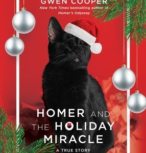 Homer and the Holiday Miracle: A True Story