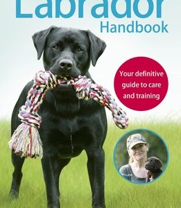 The Labrador Handbook: The Definitive Guide to Training and Caring for Your Labrador