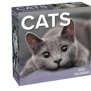 Cats 2023 Day-To-Day Calendar