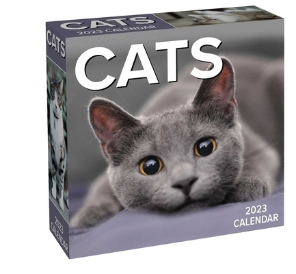 Cats 2023 Day-To-Day Calendar