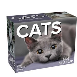 Cats 2023 Mini Day-To-Day Calendar