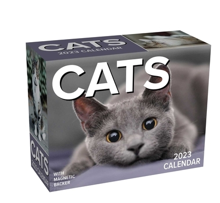 Cats 2023 Mini Day-To-Day Calendar