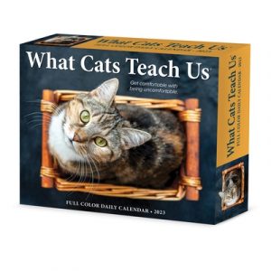 What Cats Teach Us 2023 Box Calendar