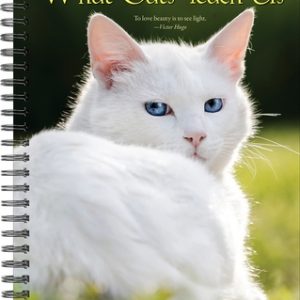 What Cats Teach Us 2023 Engagement Calendar
