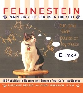 Felinestein: Pampering the Genius in Your Cat