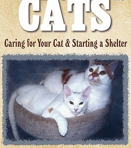 Justice For Cats: Caring for Your Cat & Starting a Shelter