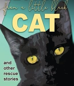 Letters from a Little Black Cat: and other rescue stories