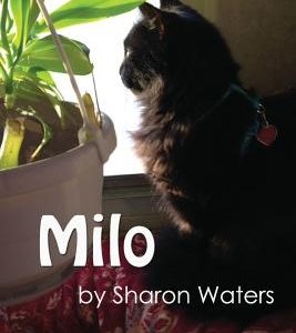 Milo