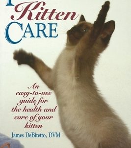 Practical Kitten Care