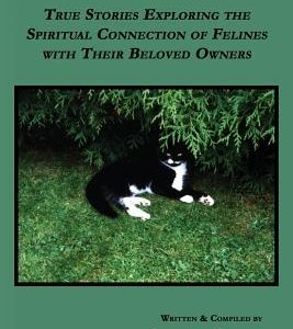 Every Cat Has a Story: True Stories Exploring the Spiritual Connection of Felines with Their Beloved Owners