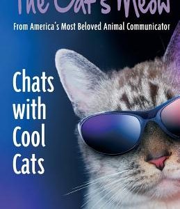 The Cat's Meow: Chats with Cool Cats!
