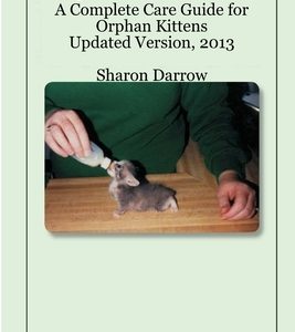 Bottlekatz: A Complete Care Guide for Orphan Kittens