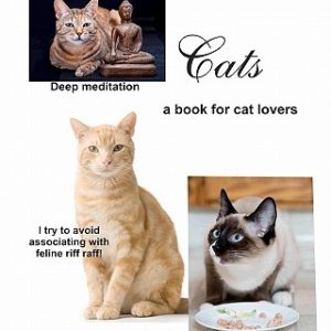 Cats: Enjoying our feline friends