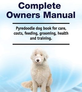 Pyredoodle Complete Owners Manual. Pyredoodle dog book for care, costs, feeding, grooming, health and training.